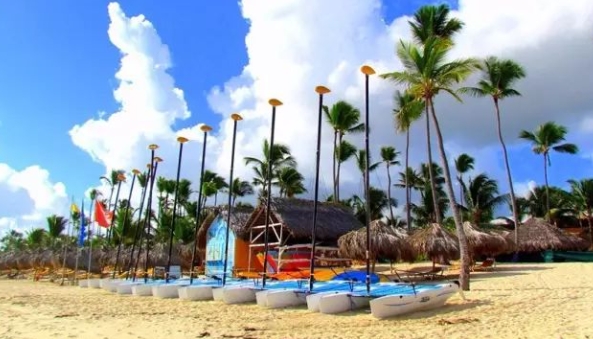 多米尼加海关数据查询平台（附免费试用查询名额）