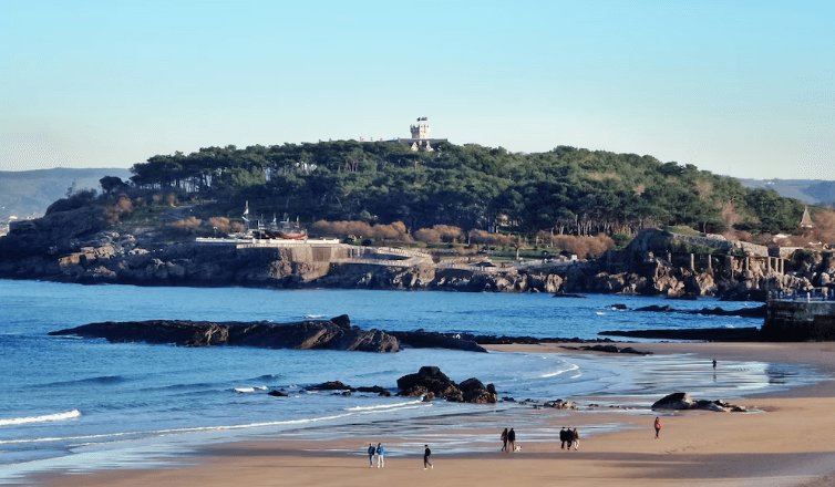 乌拉圭进出口贸易数据查询平台